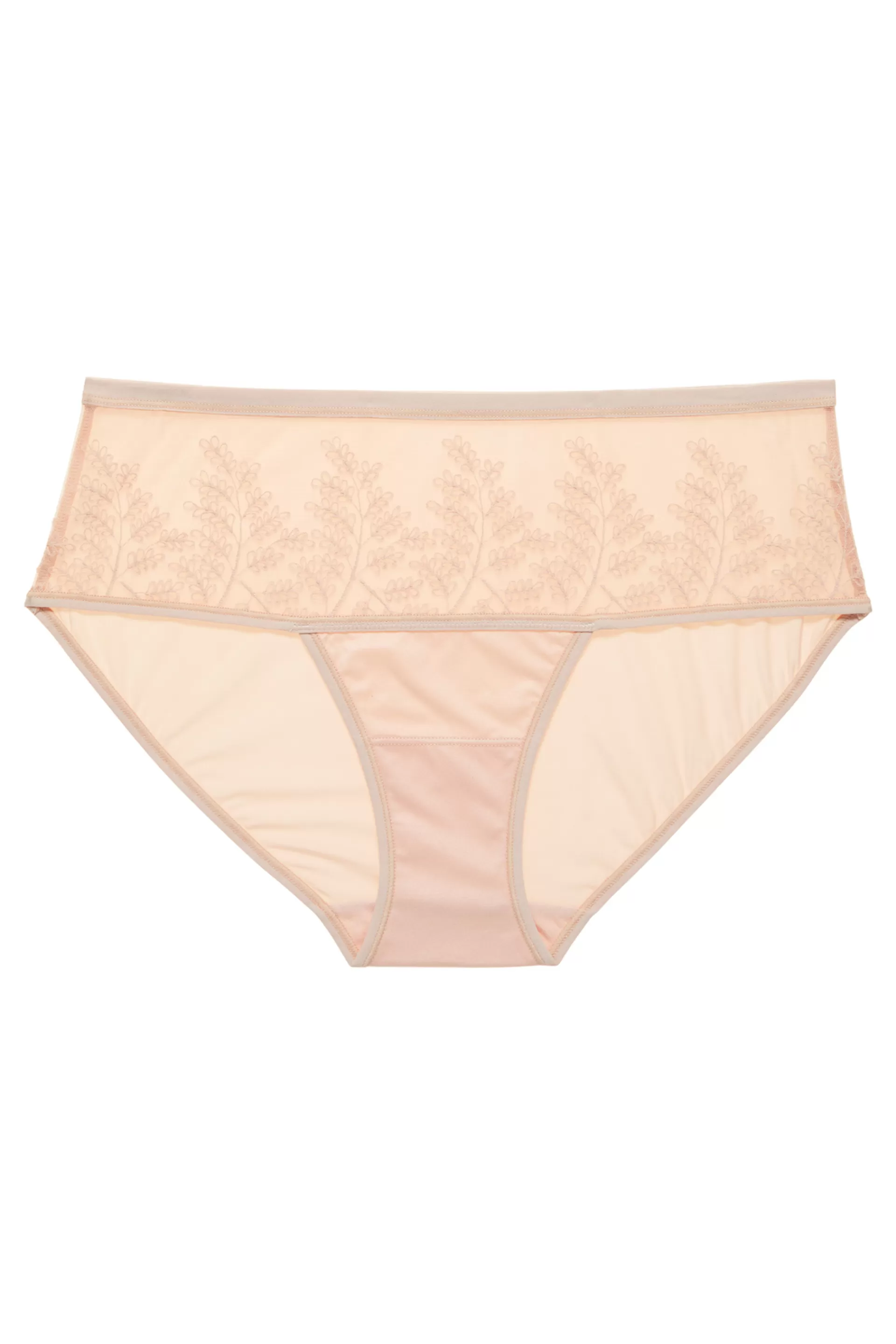 Natori Briefs<Frame Brief